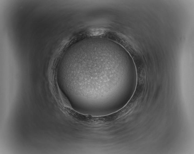 X0000114431441200910161325