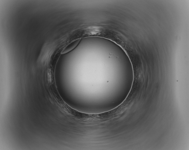 X0000114431442200910161325