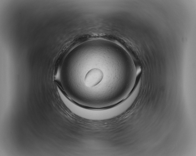 X0000114431444200910161325