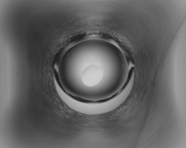 X0000114431445200910161325