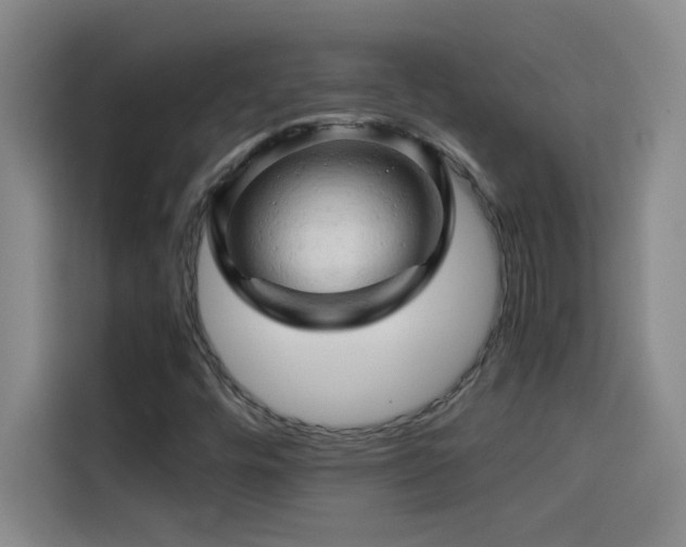 X0000114431448200910161325