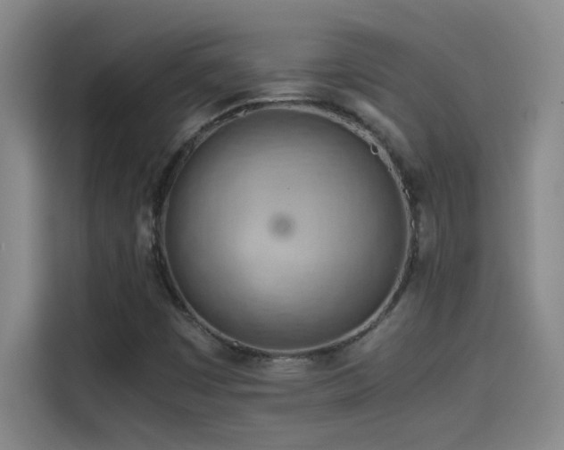 X0000114431449200910161325