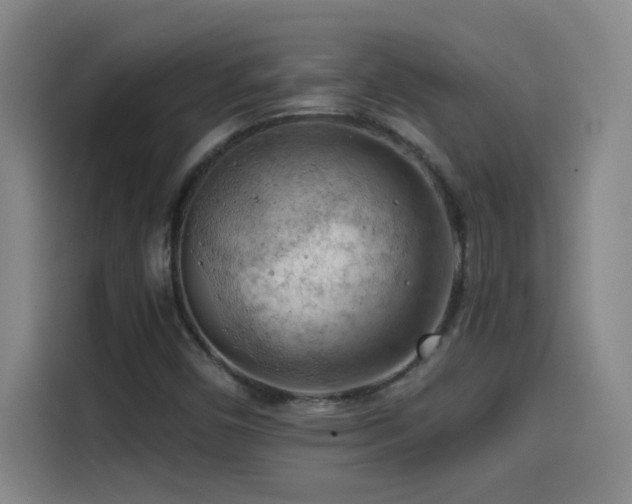 X0000114431450200910161325