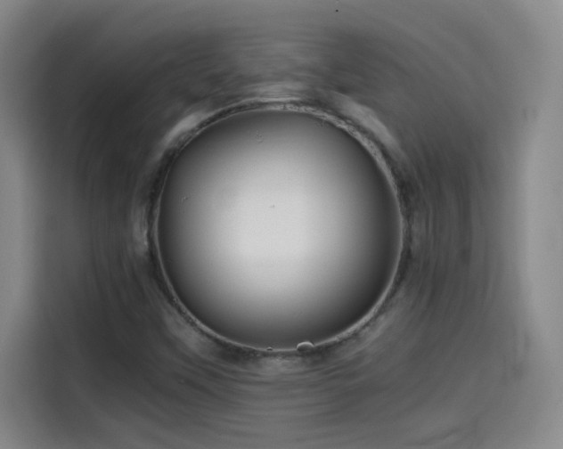 X0000114431451200910161325