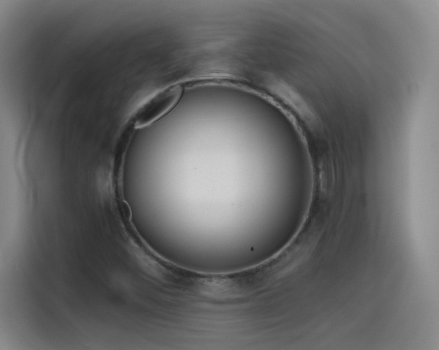X0000114431452200910161325