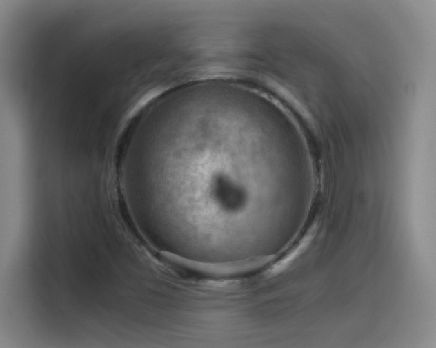 X0000114431453200910161325