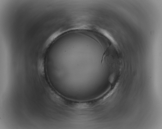 X0000114431455200910161325
