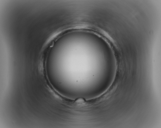 X0000114431456200910161325