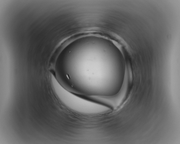 X0000114431457200910161325