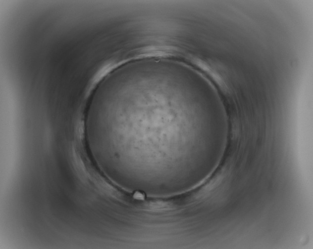 X0000114431459200910161325