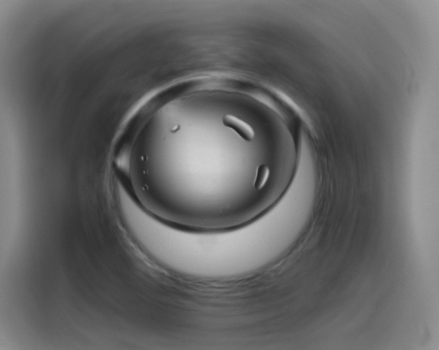 X0000114431460200910161325