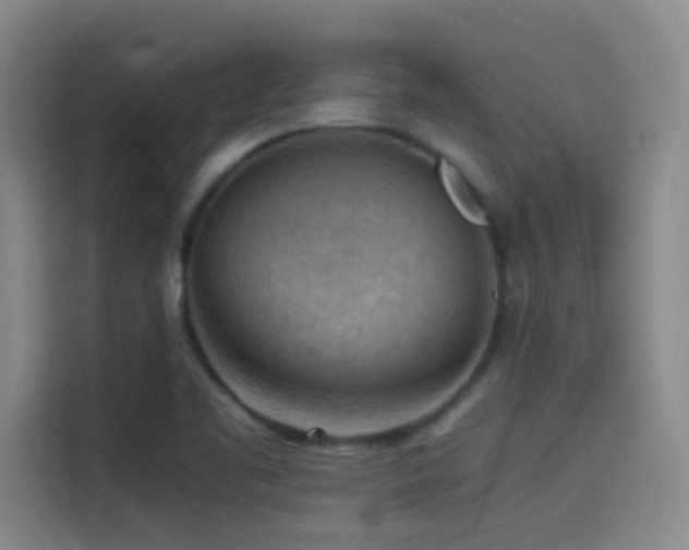 X0000114431461200910161325
