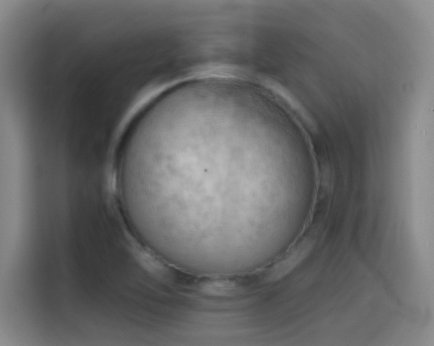 X0000114431462200910161325