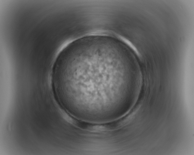 X0000114431463200910161325