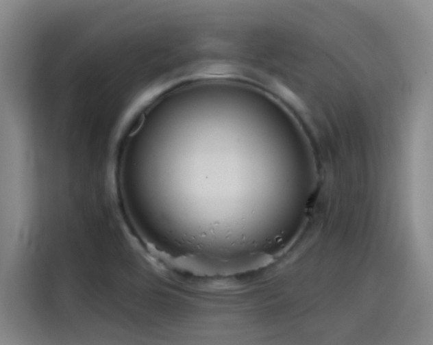 X0000114431464200910161325