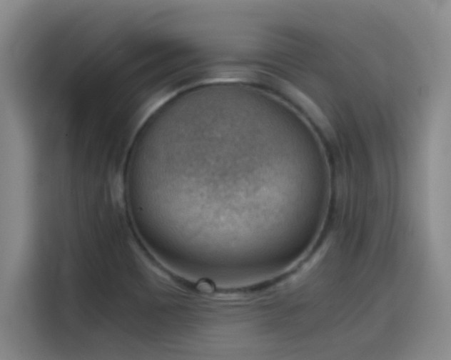 X0000114431465200910161325