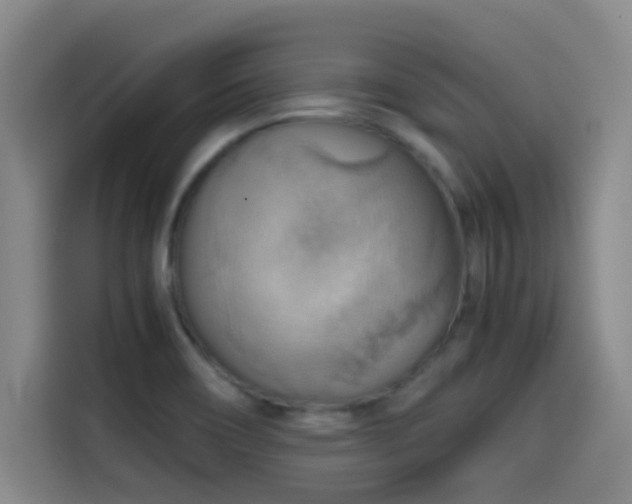 X0000114431466200910161325