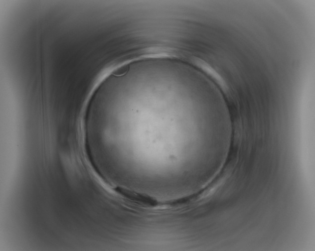 X0000114431467200910161325