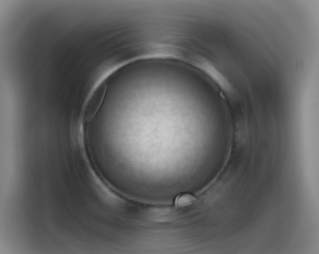 X0000114431468200910161325