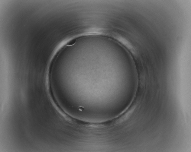 X0000114431469200910161325