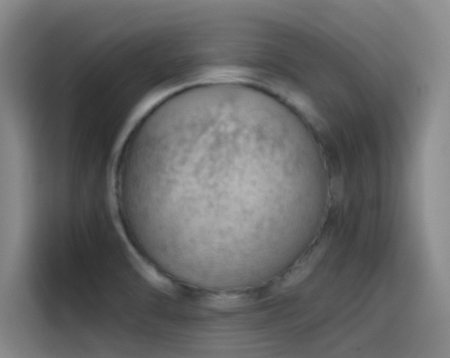 X0000114431470200910161325
