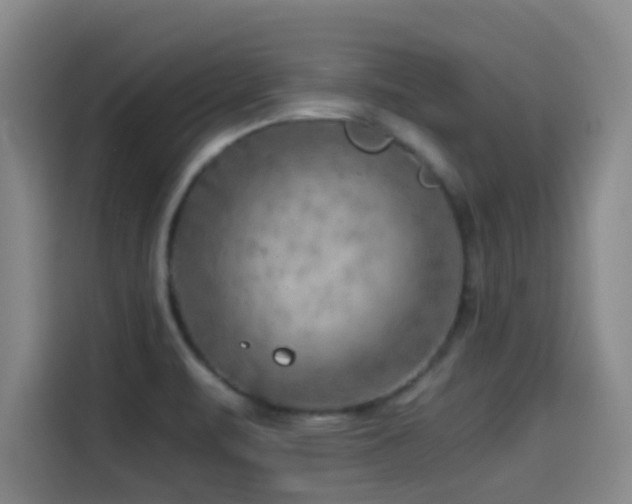 X0000114431471200910161325