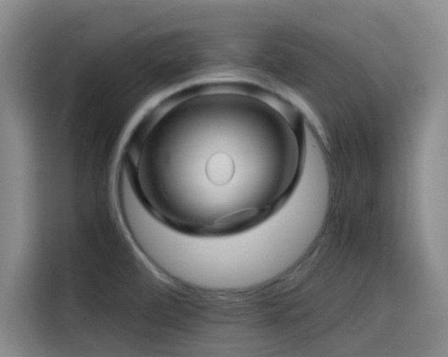 X0000114431472200910161325
