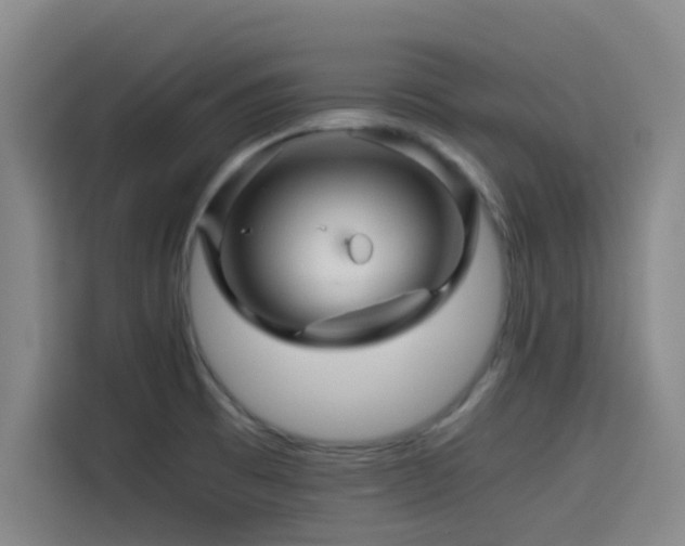 X0000114431473200910161325