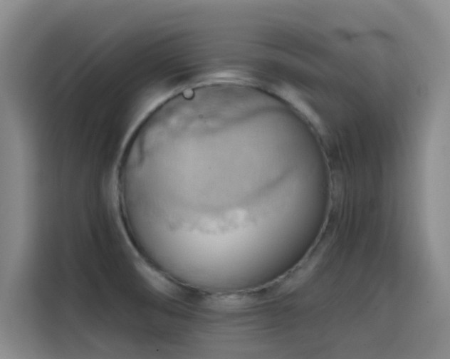 X0000114431474200910161325
