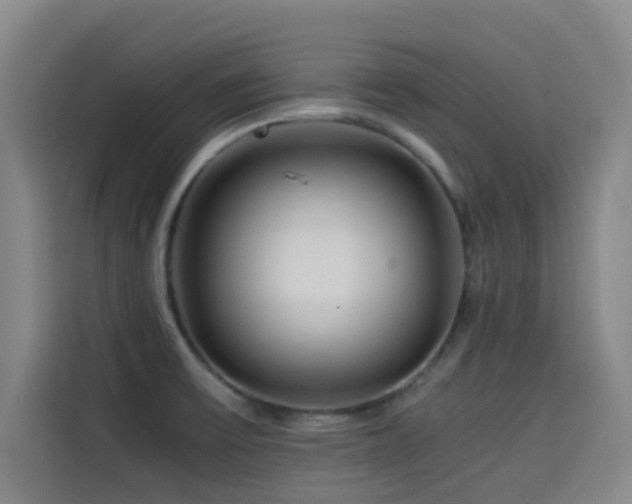X0000114431475200910161325