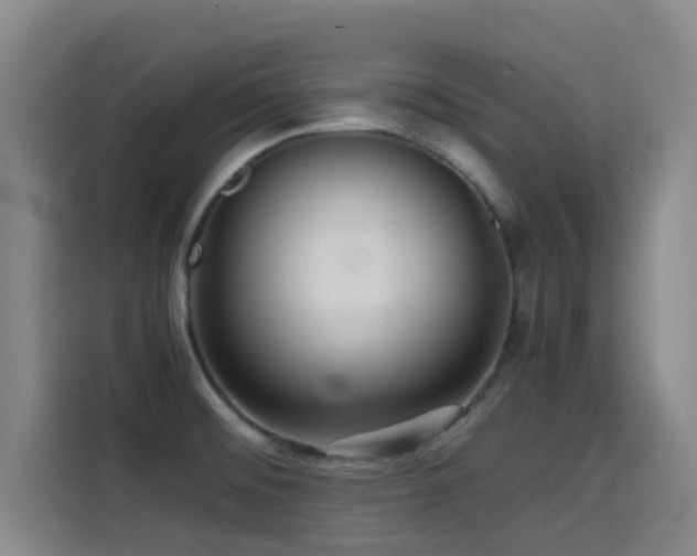 X0000114431476200910161325