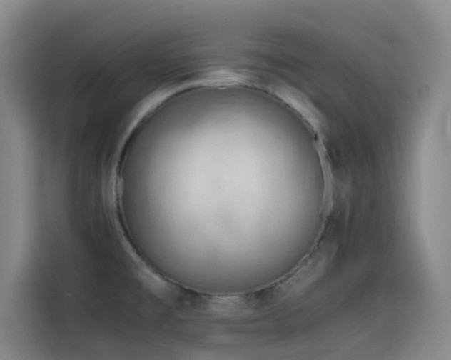 X0000114431477200910161325