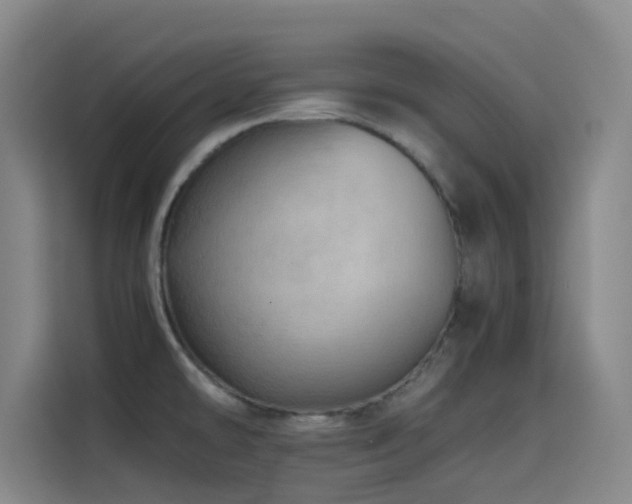 X0000114431478200910161325