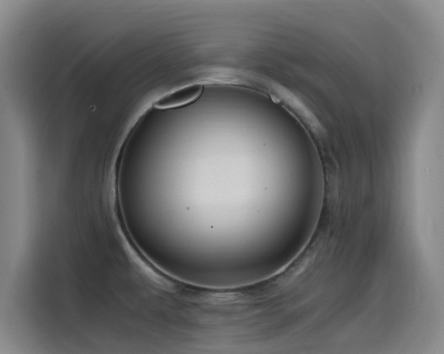 X0000114431479200910161325