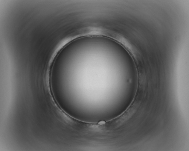 X0000114431480200910161325