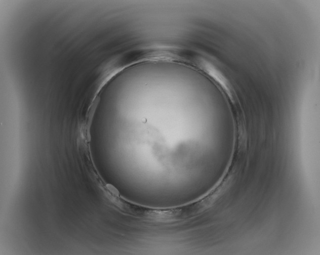 X0000114431481200910161325