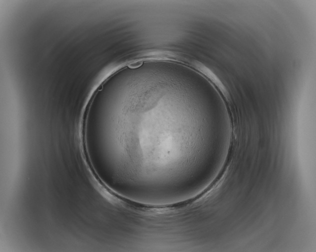 X0000114431482200910161325
