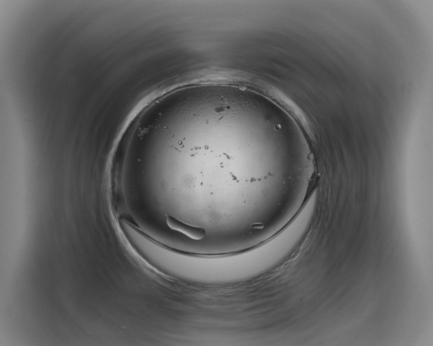 X0000114431483200910161325