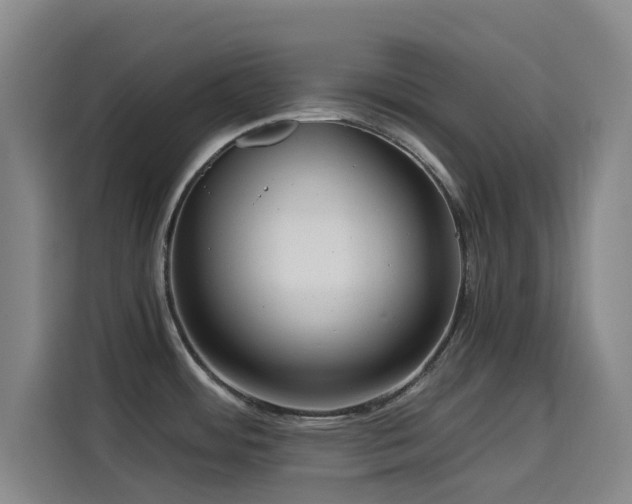 X0000114431484200910161325