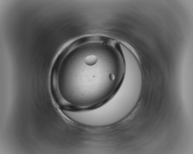 X0000114431485200910161325