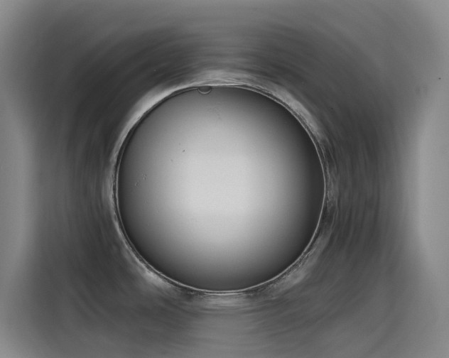 X0000114431486200910161325