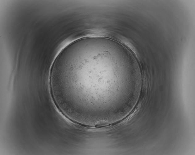 X0000114431487200910161325