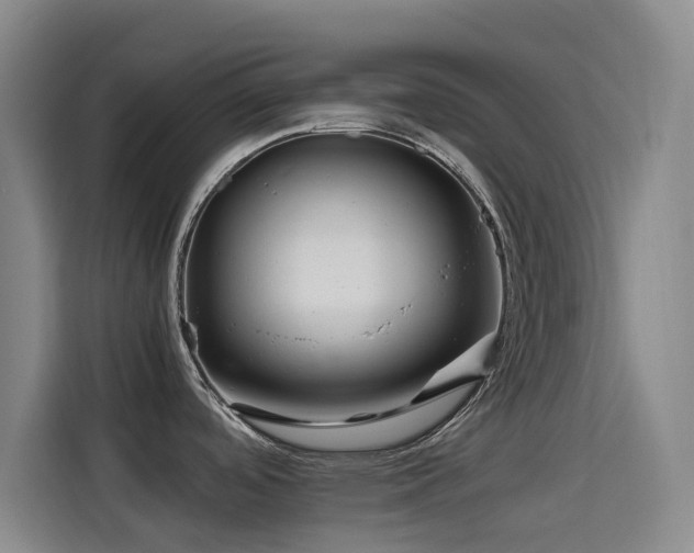 X0000114431488200910161325