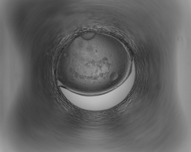 X0000114431489200910161324