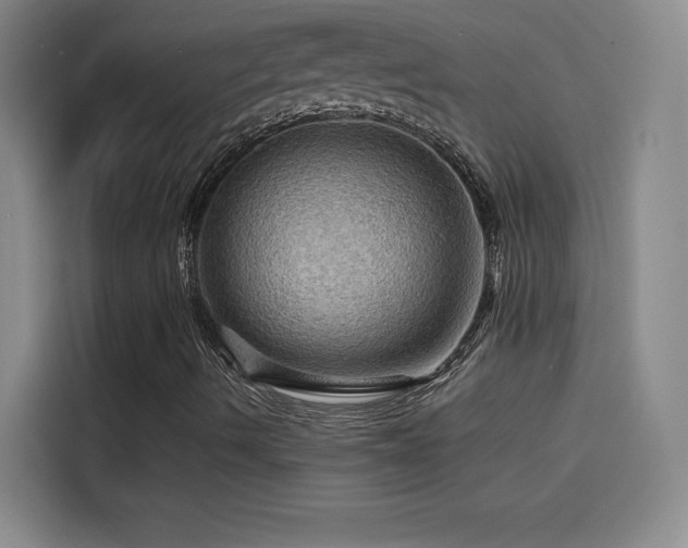 X0000114431490200910161324