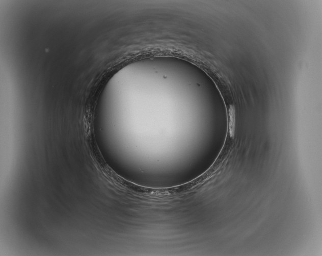 X0000114431491200910161324