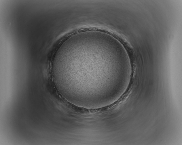 X0000114431494200910161324