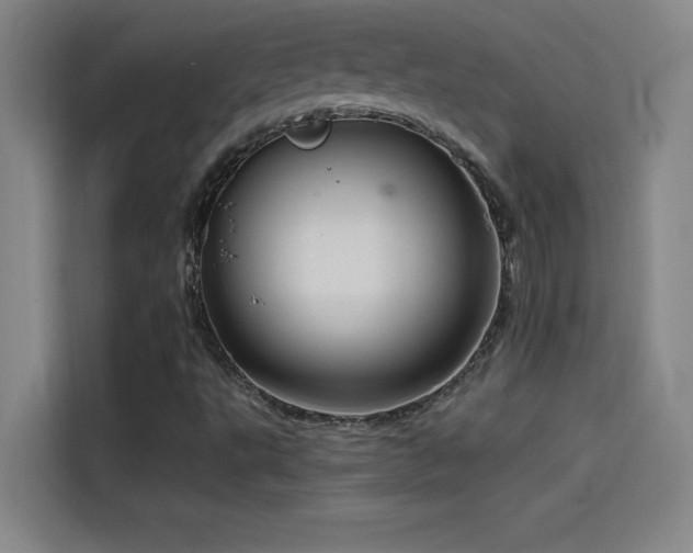 X0000114431495200910161324
