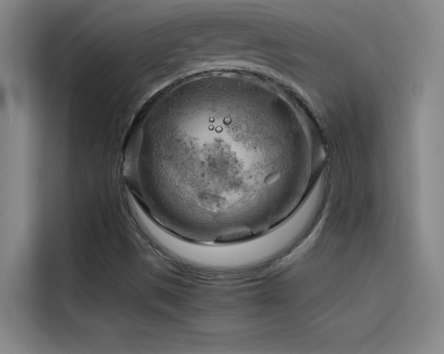 X0000114431497200910161324