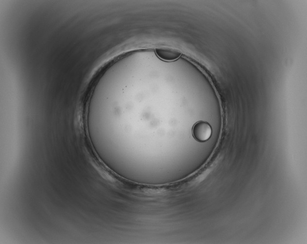 X0000114431498200910161324